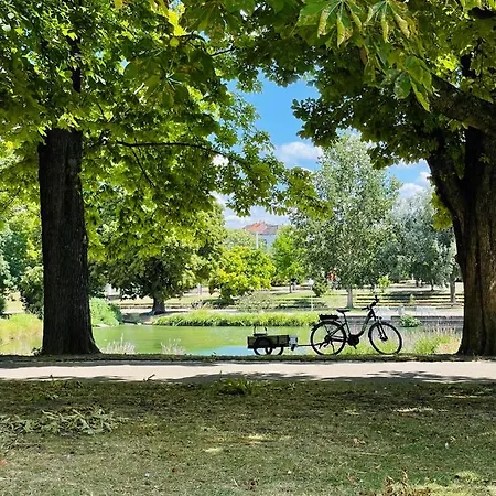 Berg Stuttgart
